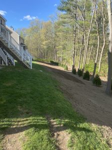 A partially grass-covered backyard with a row of small trees and a staircase leading from a house. Forested area in the background.