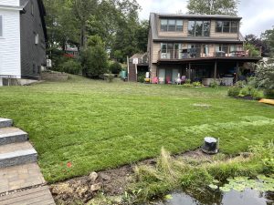 A two-story house with a large backyard featuring a freshly laid lawn, a small pond at the forefront, and trees in the background.