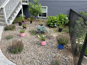 A garden with potted plants, small shrubs, and a tree on a rocky ground next to a house and a chain-link fence. Steps lead up to a porch on the left.