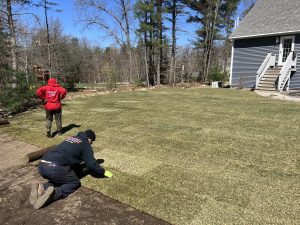 Two workers lay sod on a lawn in front of a gray house surrounded by trees.