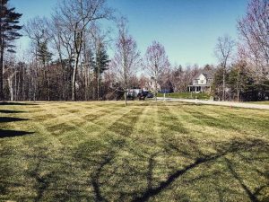 A large lawn with striped mowing patterns, bordered by trees, leads to a house in the background on a clear day.