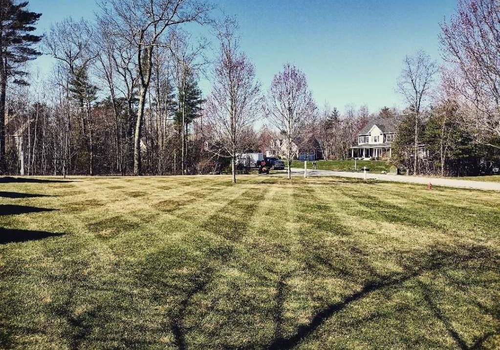 A large lawn with striped mowing patterns, bordered by trees, leads to a house in the background on a clear day.